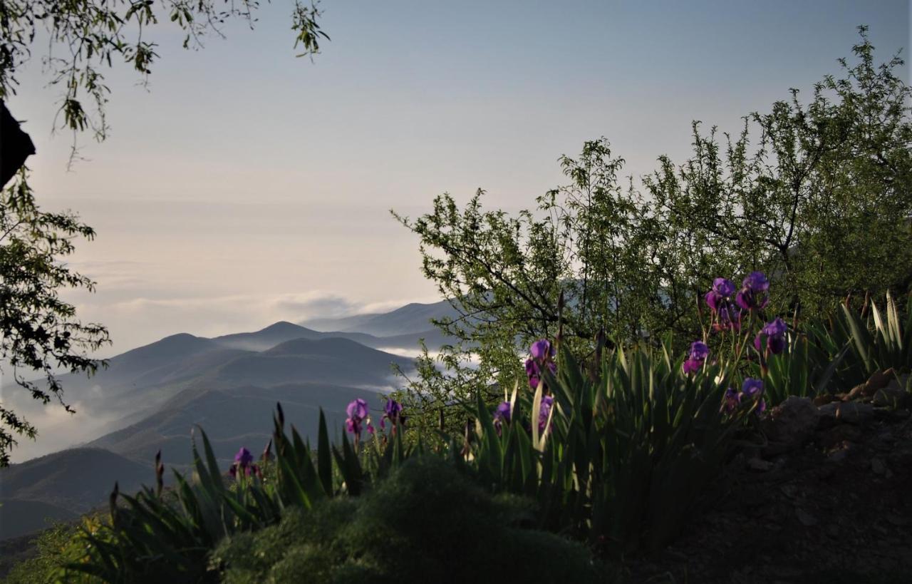 Cortijo Los Maximos Turon Exterior photo