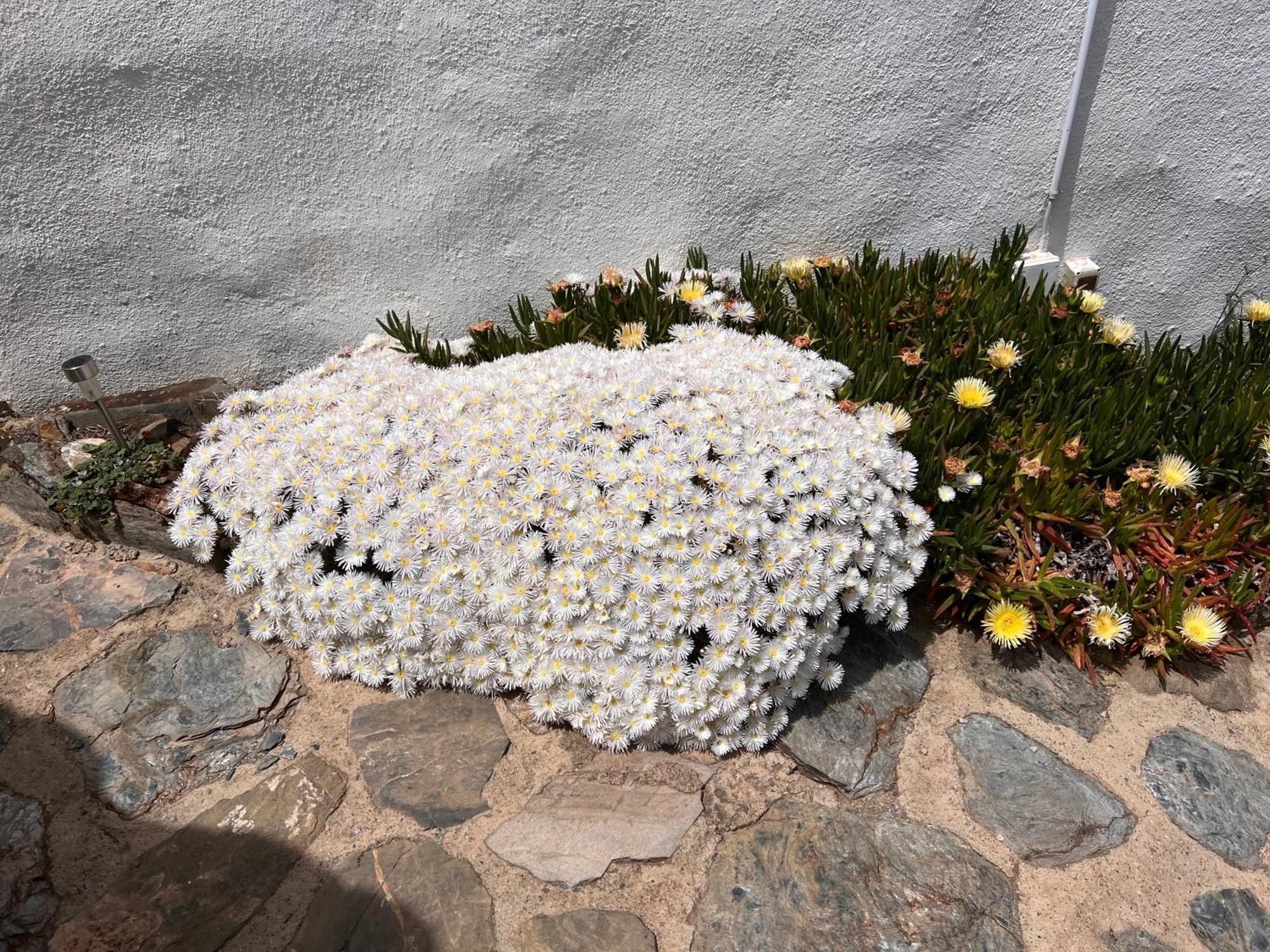 Cortijo Los Maximos Turon Exterior photo